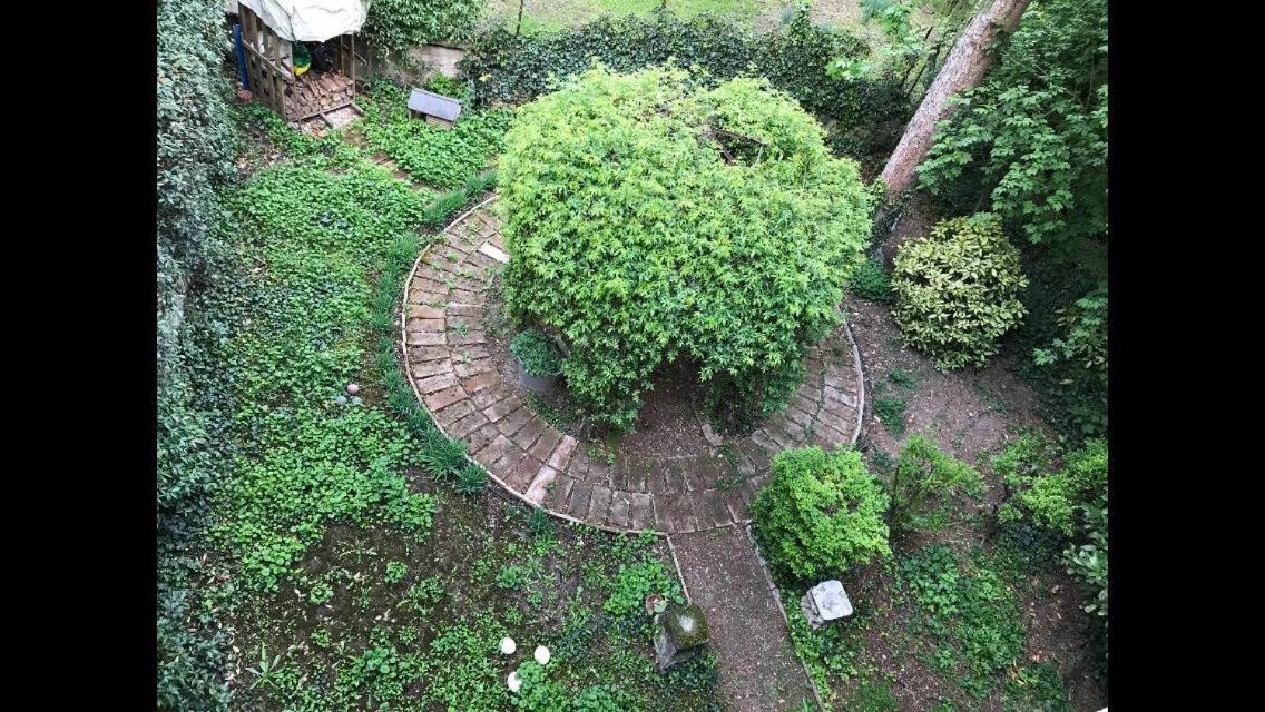 Casa Luminosa Con Giardino In Centro Storico Daire Reggio Emilia Dış mekan fotoğraf